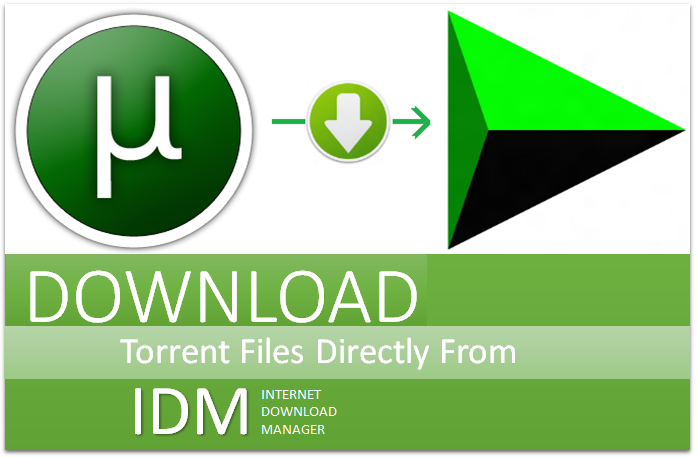 Download Torrents With Idm