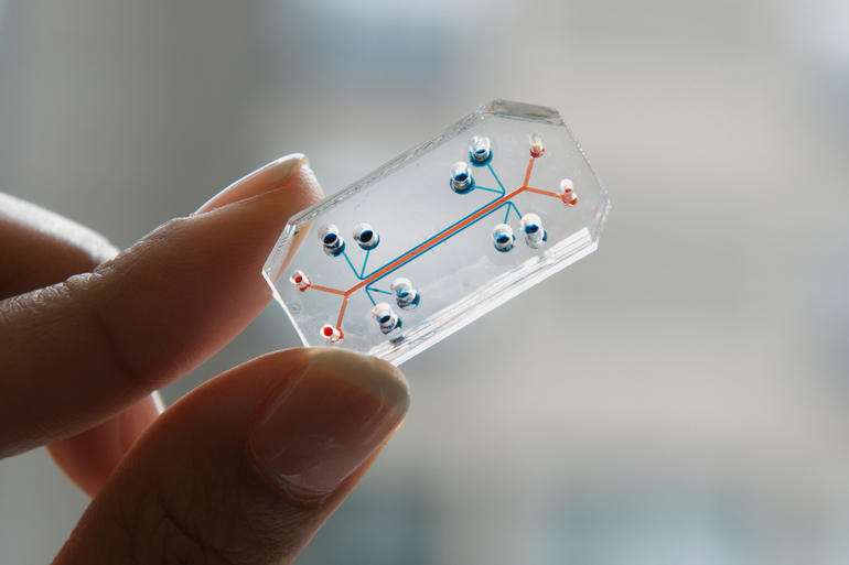 Human Organs On Chips — DARPA Scaling Down Your Body To Size Of A USB Drive