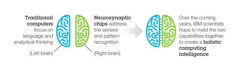 IBM, TrueNorth chip, brain-like chip
