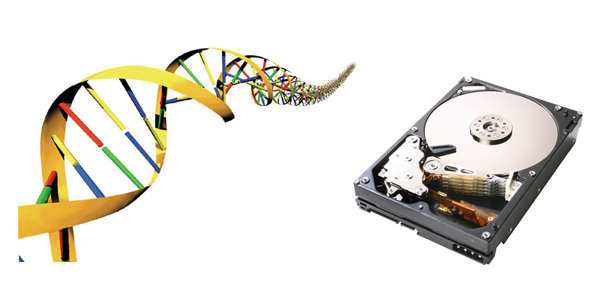 New DNA Hard Drive Can Hold Data for Millions of Years