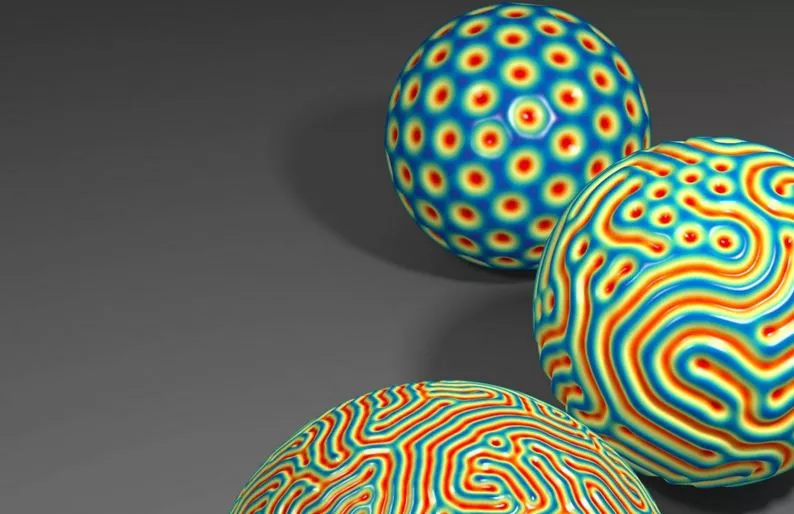 Researchers Solve the Mystery of Wrinkling Patterns and Fingerprints