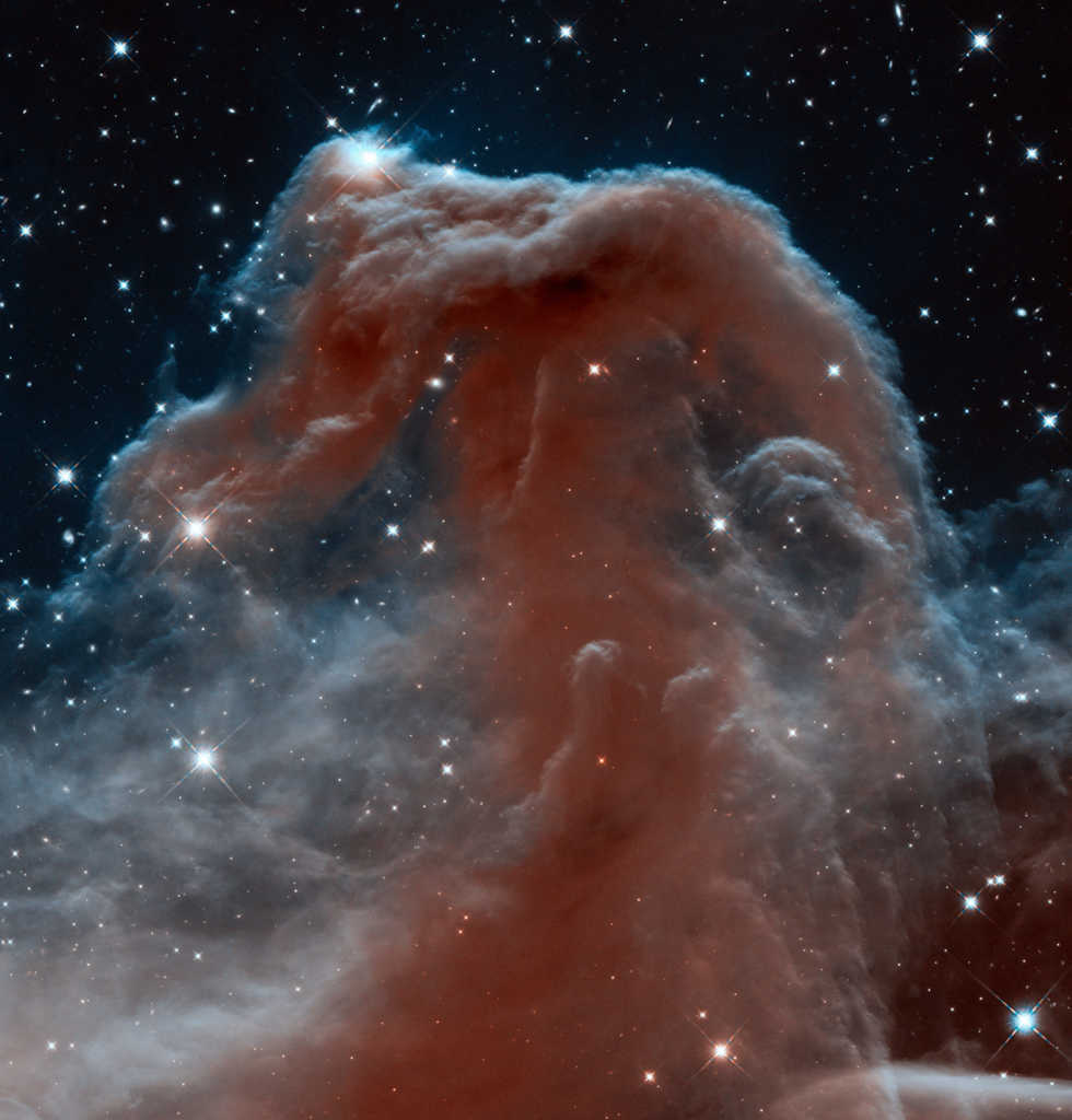 Hubble-Views-the-Horsehead-Nebula