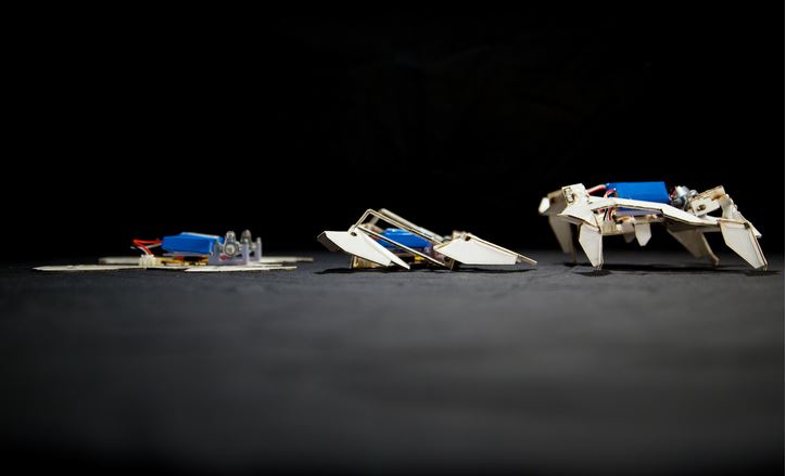 self folding robot origami