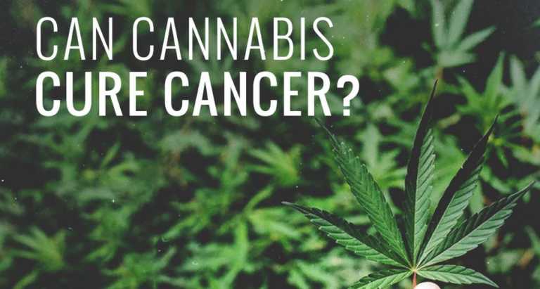 marijuana-cures-cancer-cannabis