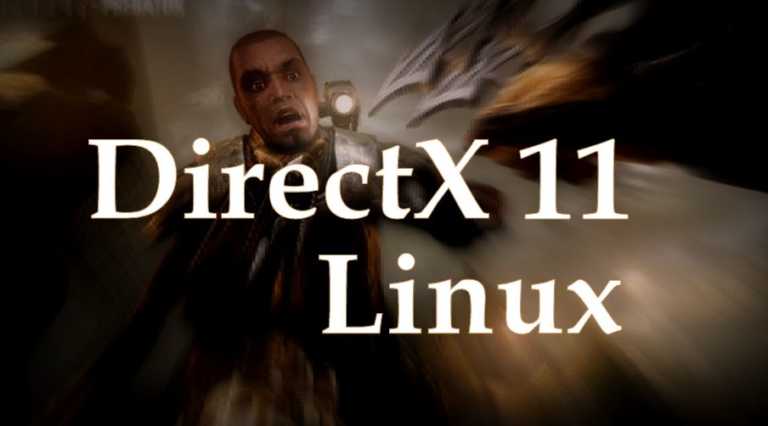 directx-11-linux