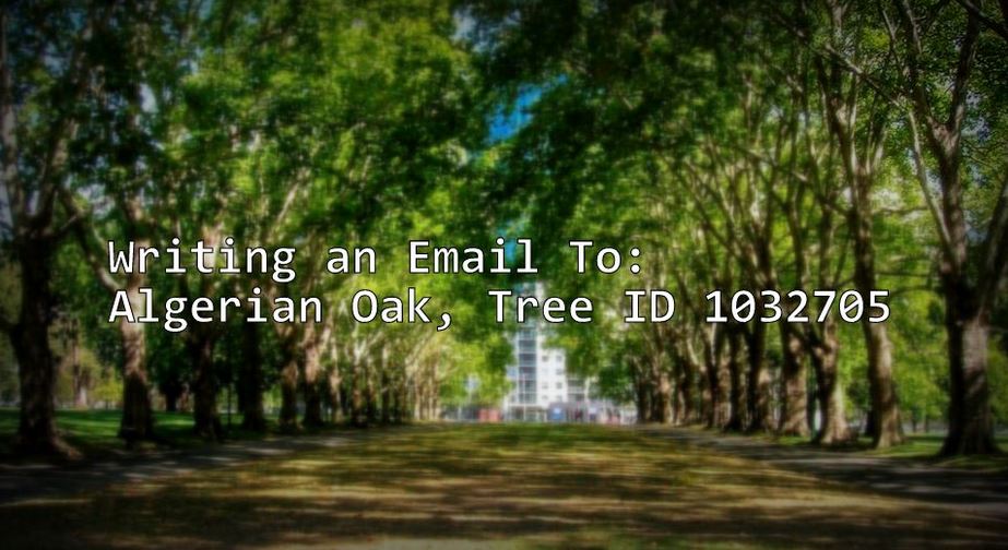 email-tree