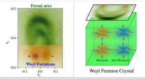 weyl fermion massless particle