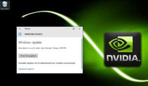 windows update nvidia driver problem