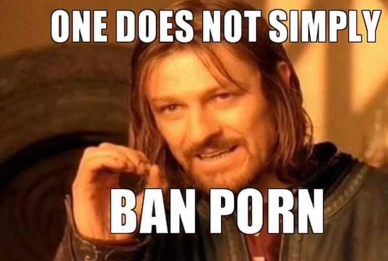 Indian Government Partially Lifts the Ban On Porn Sites