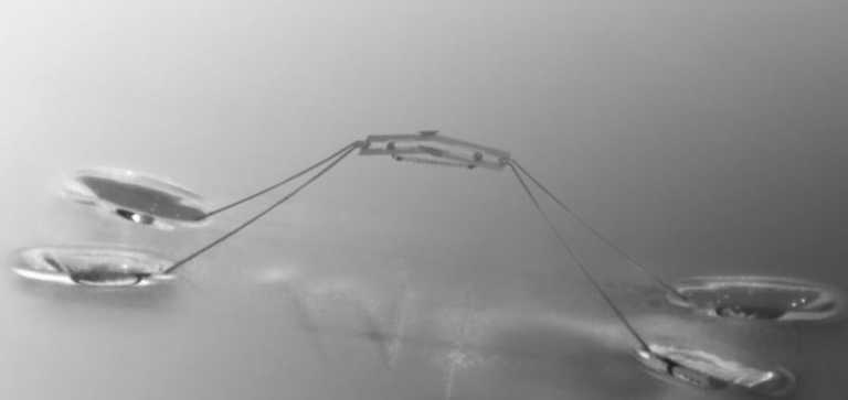 water-strider-robot