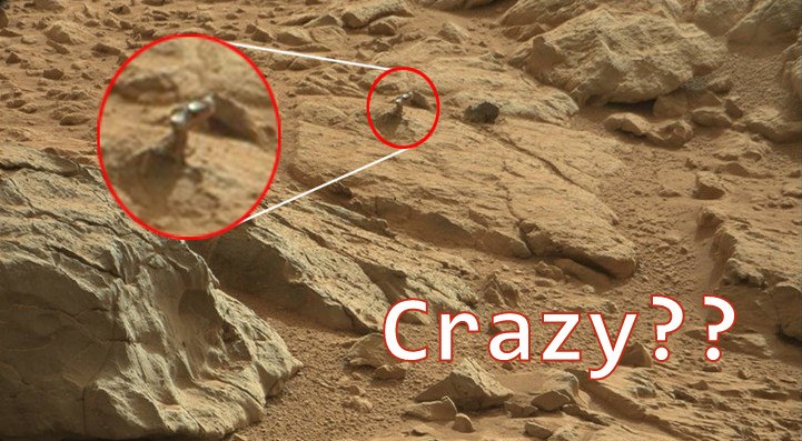 Do You Also See A Woman On Mars? Curse Your Brain and Internet