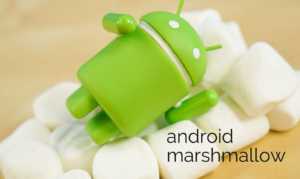 Android Marshmallow rollout date