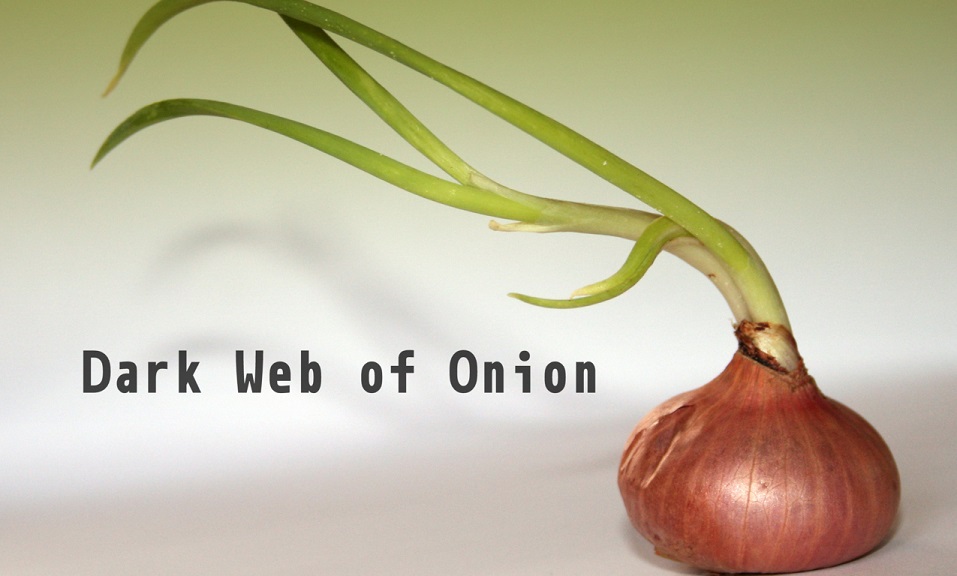 Onion_dar-web-site