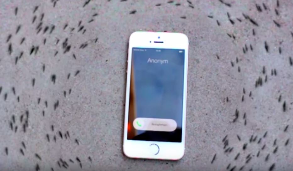 ants-crawling-around-iPhone