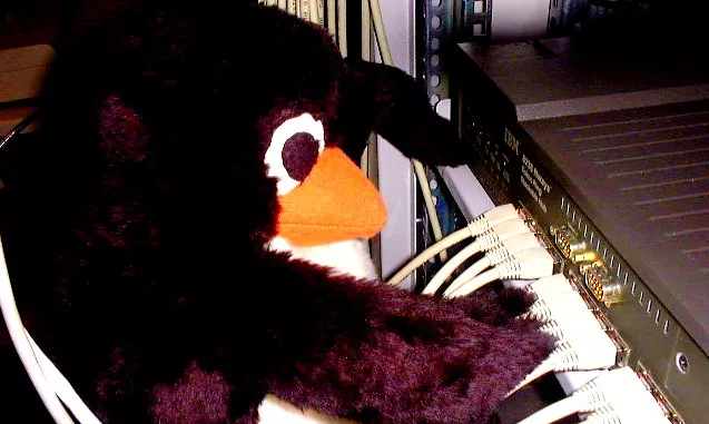evil penguin malware trojan xor ddos