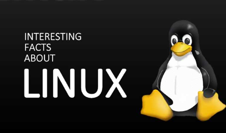 Did You Know? 13 Amazing Facts About Linux That Will Surprise You