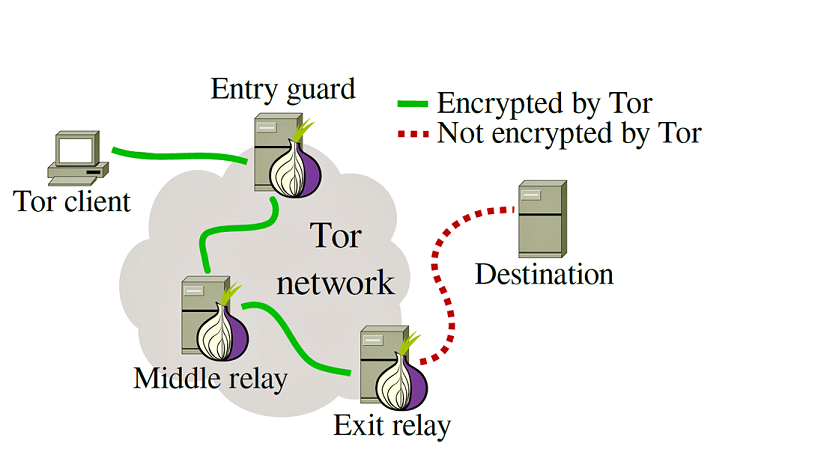 Tor network browser скачать тор браузер на трешбокс