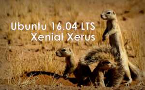 ubuntu 16 04 xenial xerus download squirrel