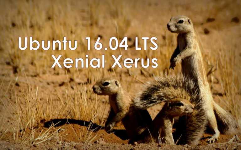 ubuntu-16-04-xenial-xerus-download-squirrel