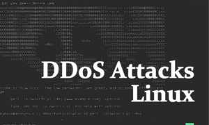 ddos linux