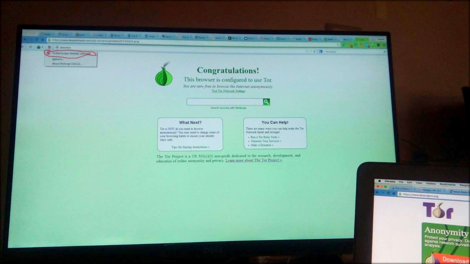 Tor browser порно сайт тор браузер скачать бесплатно на русском для 10 попасть на гидру