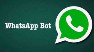 whatsapp bot search engine wiki internet