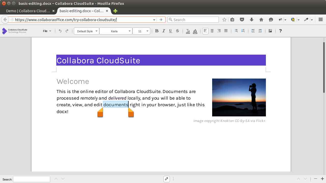screenshot-document-1-collobora-cloudsuite