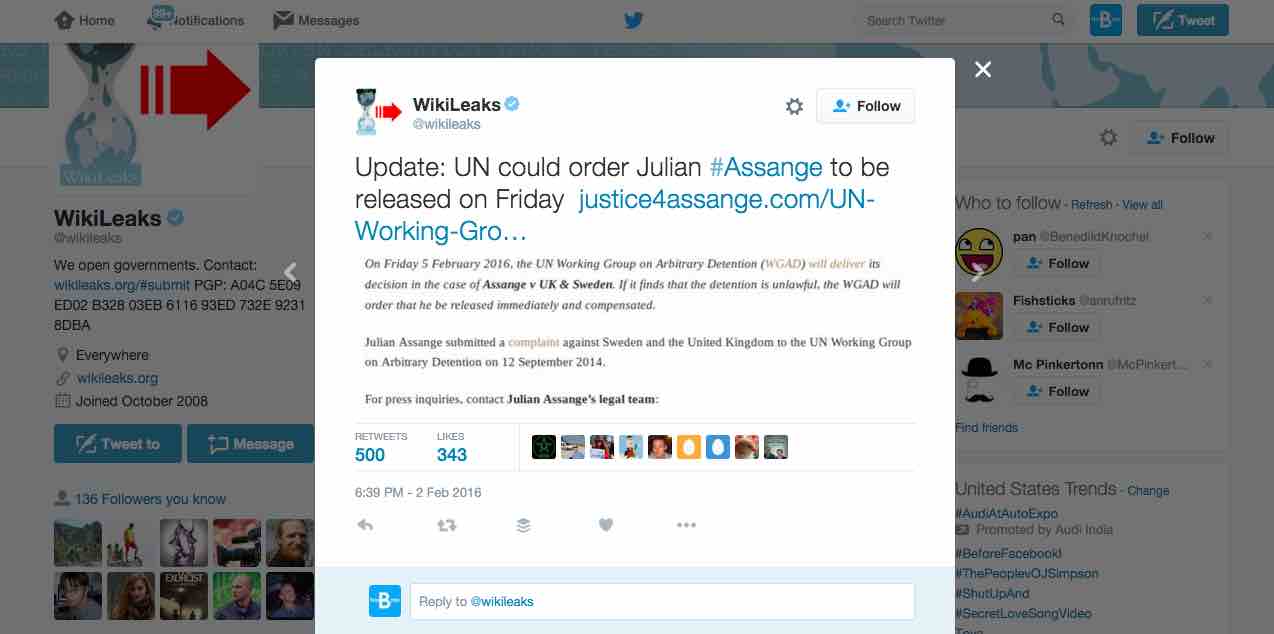wikileaks juliane assange released un
