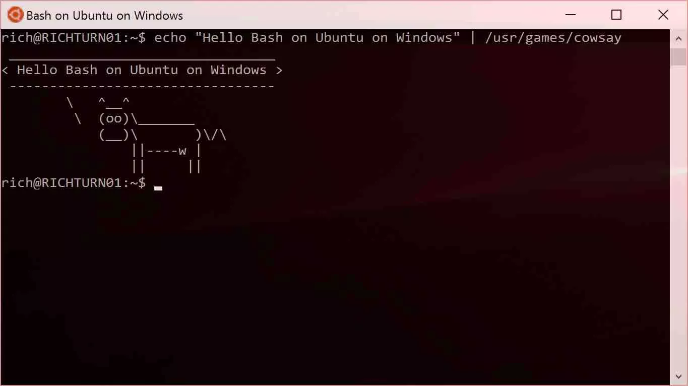 bash on ubuntu on windows