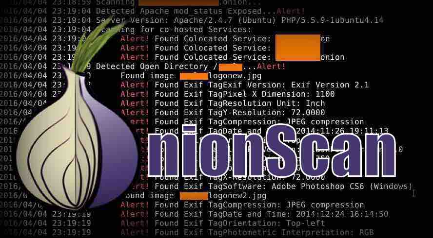 tor dark web onion