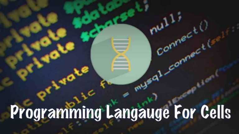 programming langauge for cells and dna