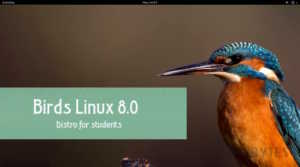 Birds Linux 8.0 released