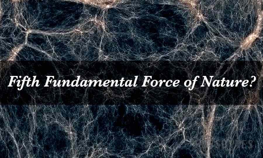 FIFTH FUNDAMENTAL FORCE OF NATURE