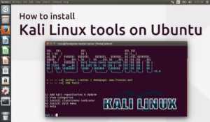 kali linux tools on ubuntu using katoolin 10