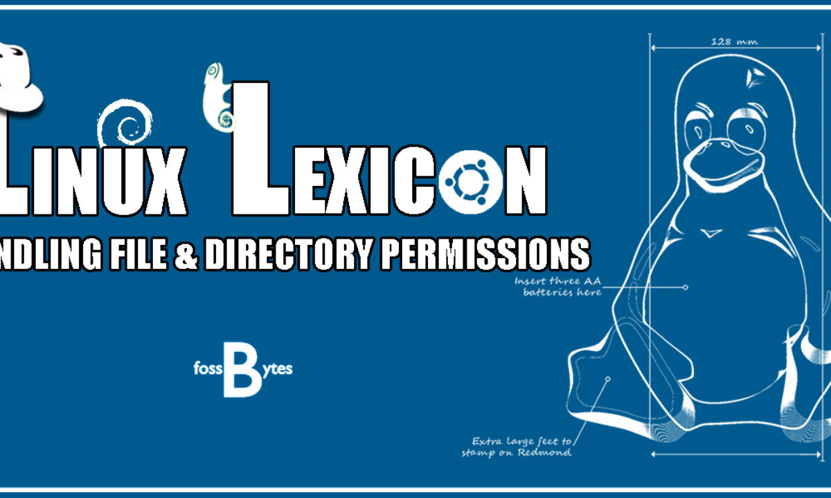 Linux Lexicon Handling File And Directory Permissions In Linux