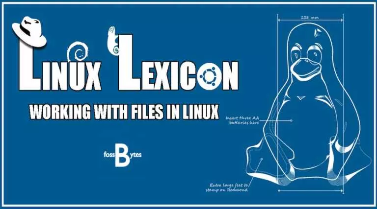 Linux Lexicon: Working With Files In Linux