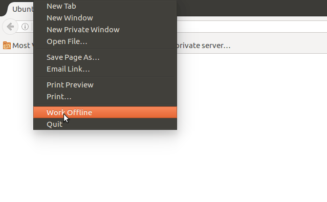 how to view firefox cache offline