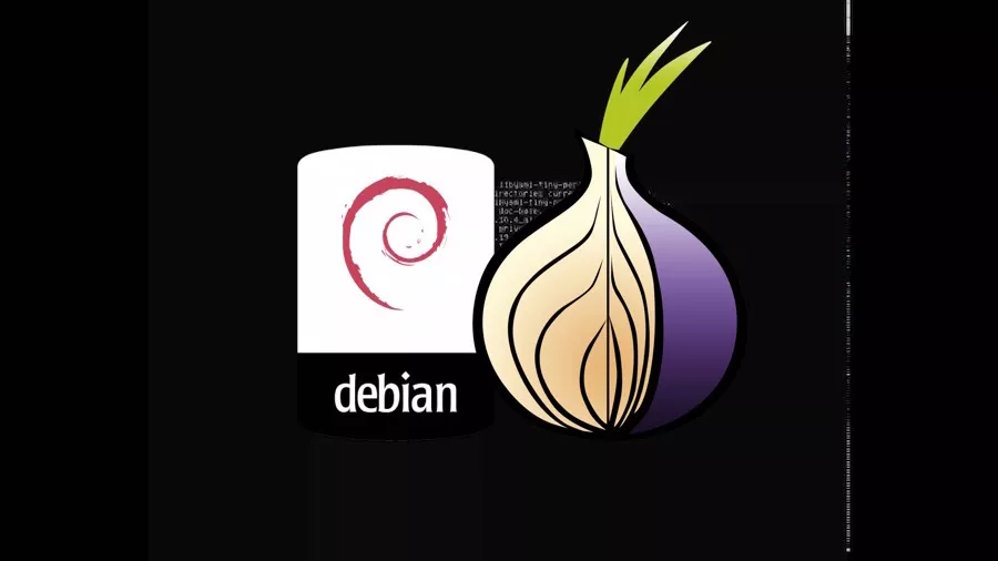 Tor onion search