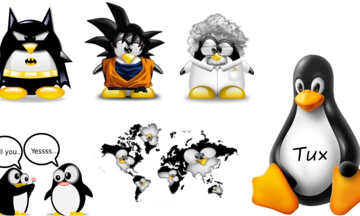 Why Is The Penguin Tux Official Mascot Of Linux Because Torvalds Had Penguinitis