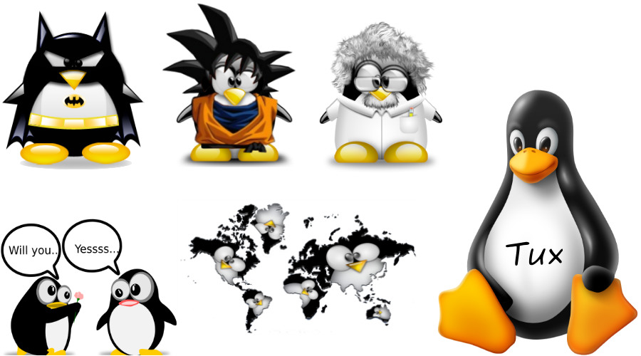 Why Is The Penguin Tux Official Mascot of Linux? Because Torvalds Had ...