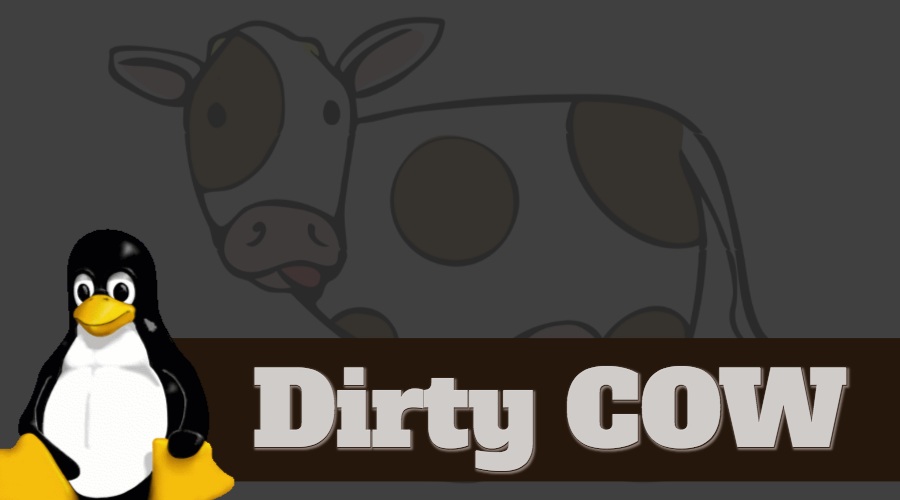 dirty-cow-linux-bug