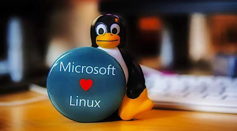 Microsoft’s Warning — “Don’t Change Linux Files In Windows”