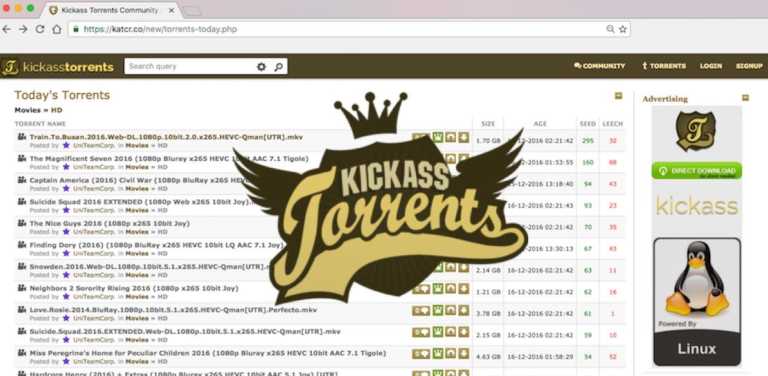 Katcr.co — Original KickassTorrents Is Finally Back