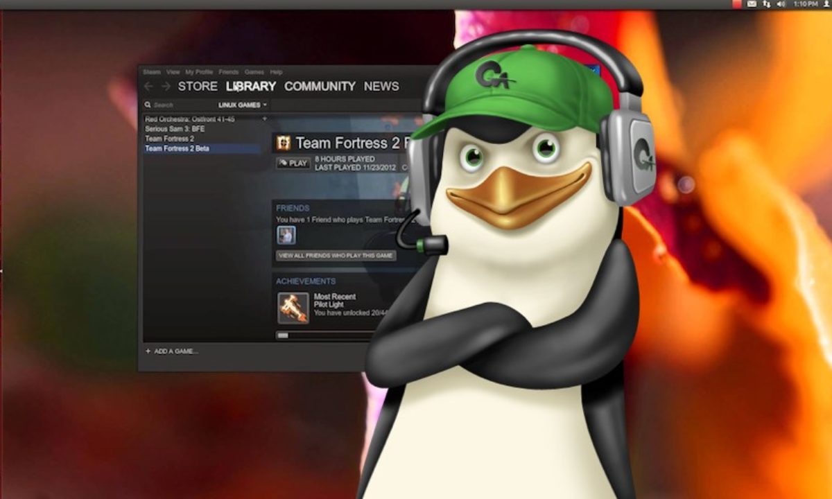 Download Steam For Linux Skin Manager (Includes Ambiance And Radiance  Skins) ~ Web Upd8: Ubuntu / Linux blog