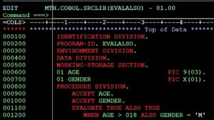 cobol program