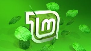 900506linux mint 18.1