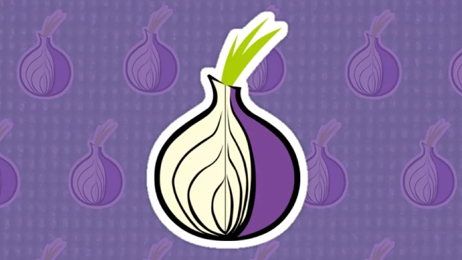 Tor browser on ios tor browser торрент трекер
