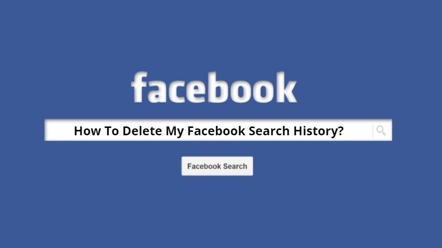 facebook search bar