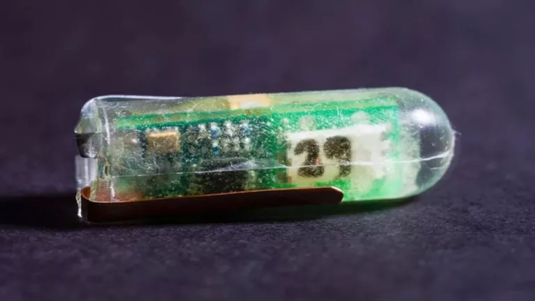This New MIT Battery Is Powered By Your Stomach Acid
