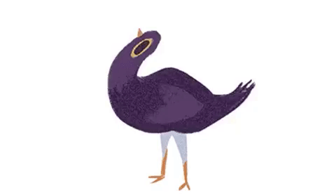 trash dove purple bird gif